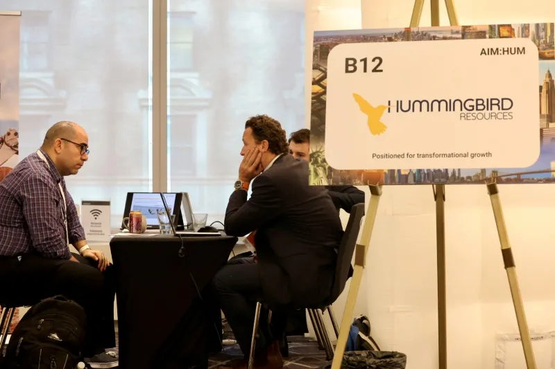 Mining company and investor in a pre-scheduled 1-2-1 meeting