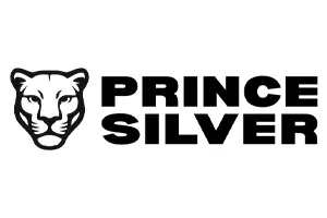 Logo - Prince Silver