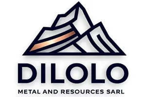 Logo - Dilolo Metals